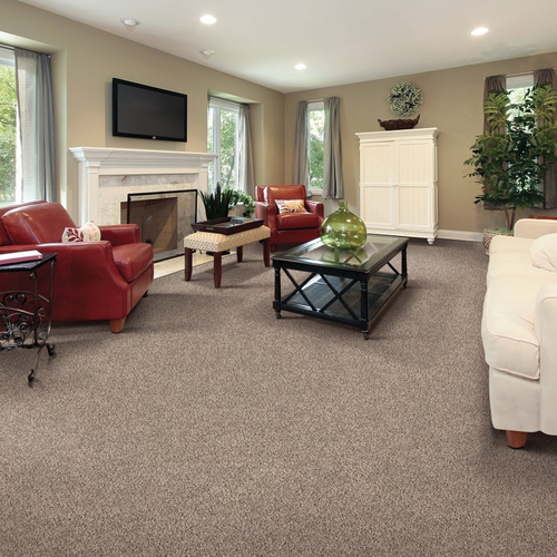 Living room with comfy carpet - Gracefully Soft I