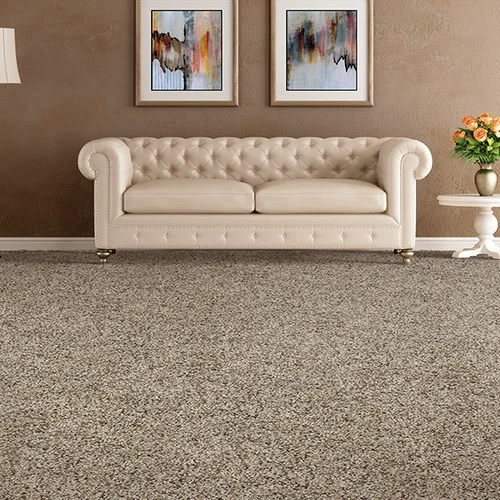 A & E Flooring providing stain-resistant pet proof carpet in Collegeville, PA