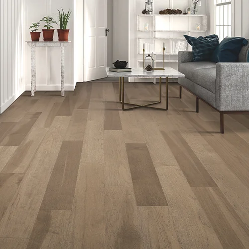 A & E Flooring providing pet-friendly waterproof vinyl flooring in Collegeville, PA